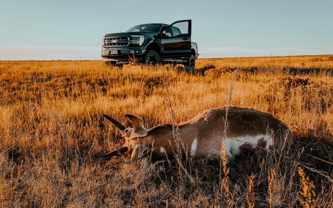 Antelope Hunt Colorado 2025