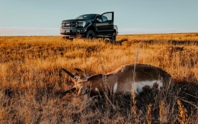 Antelope Hunt Colorado 2025