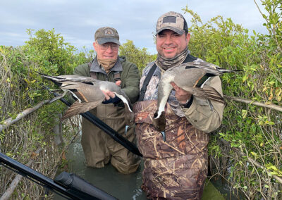 ducks06