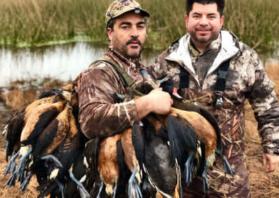 ducks09