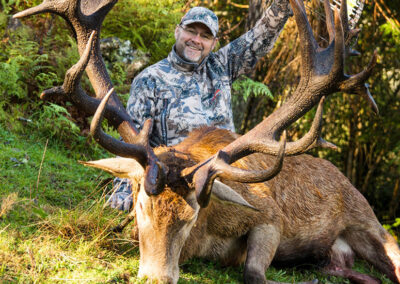 redstag04