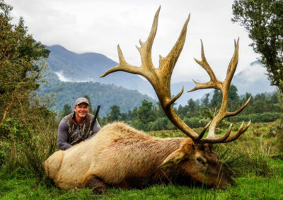 redstag16