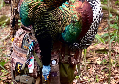 turkey07